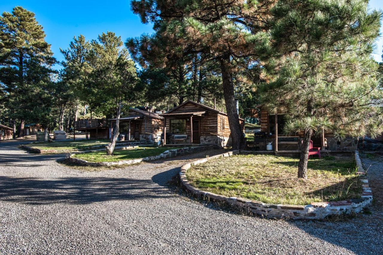 Cozy Cabin, 2 Bedrooms, Fireplace, Midtown, Sleeps 5 Руідозо Екстер'єр фото